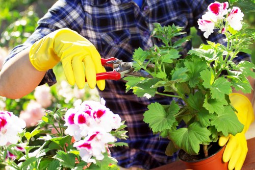 Gardener working in an Ickenham garden, tools and plants visible