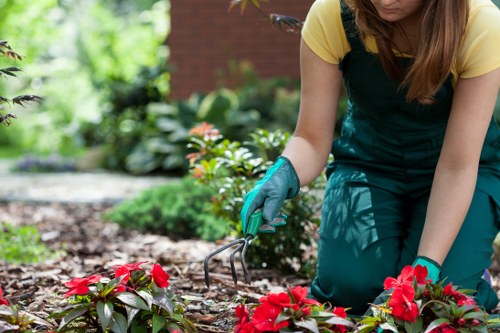 Investigator reviewing gardening work on site